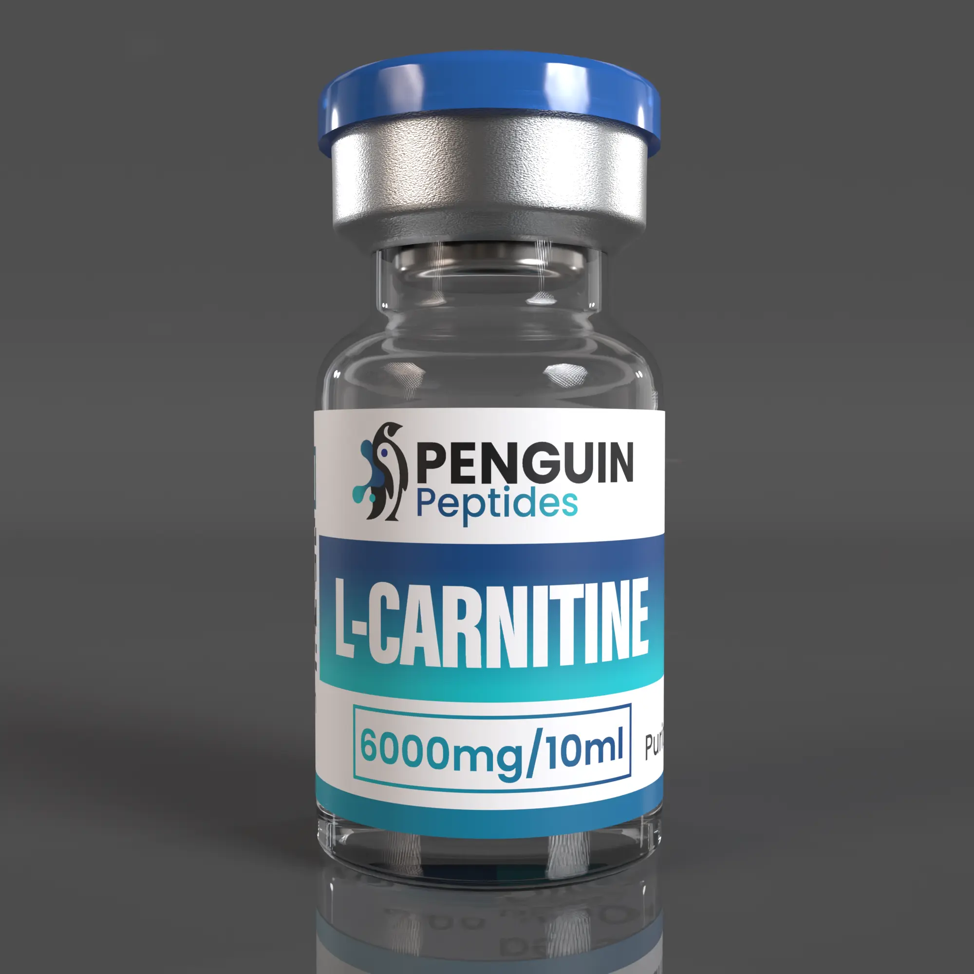 L-Carnitine – 6000mg (10ml) L-Carnitine – 6000mg (10ml)